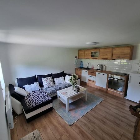 Casa Primitoare In Inima Naturii Si Padurii Rasca  Esterno foto