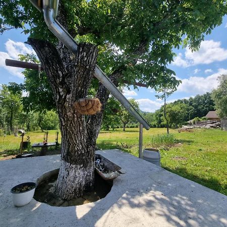 Casa Primitoare In Inima Naturii Si Padurii Rasca  Esterno foto