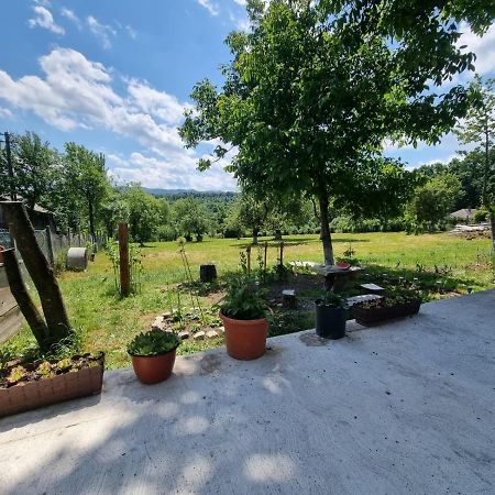 Casa Primitoare In Inima Naturii Si Padurii Rasca  Esterno foto