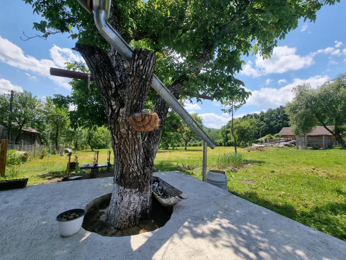 Casa Primitoare In Inima Naturii Si Padurii Rasca  Esterno foto