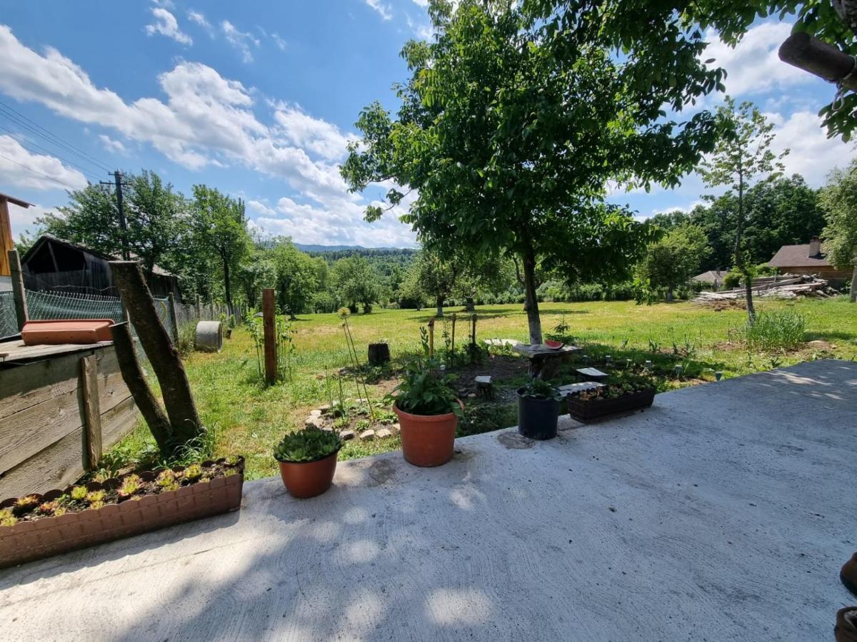 Casa Primitoare In Inima Naturii Si Padurii Rasca  Esterno foto