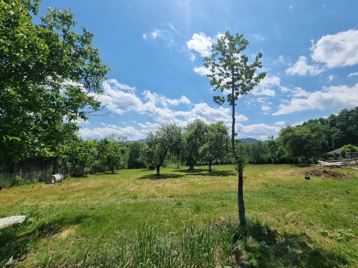 Casa Primitoare In Inima Naturii Si Padurii Rasca  Esterno foto