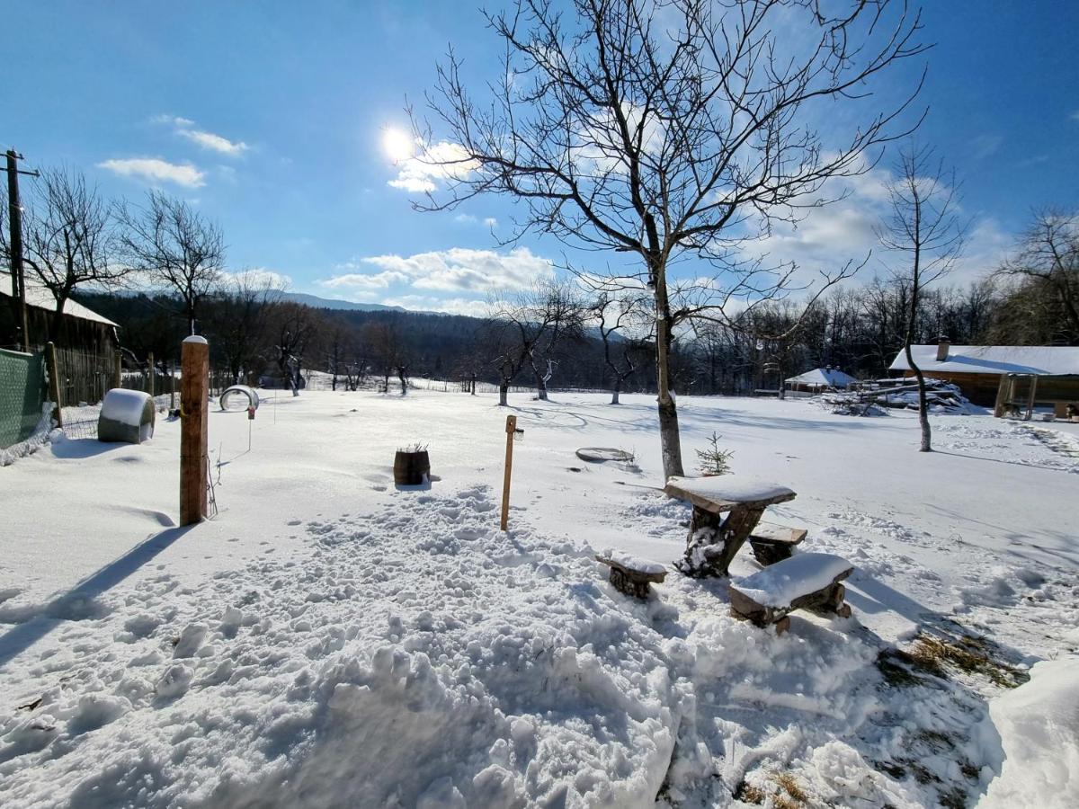 Casa Primitoare In Inima Naturii Si Padurii Rasca  Esterno foto